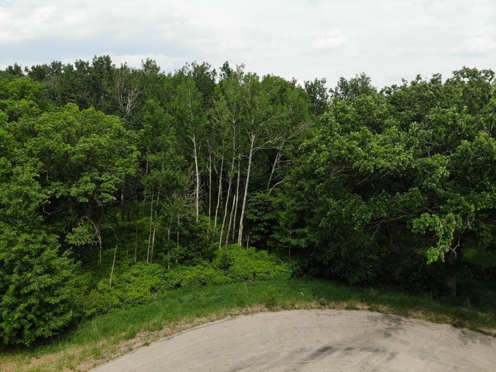 TBD Stony Hills Ln, Perham, Minnesota image 10
