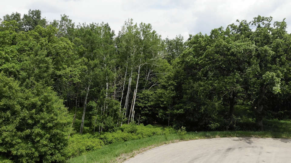 TBD Stony Hills Ln, Perham, Minnesota image 13