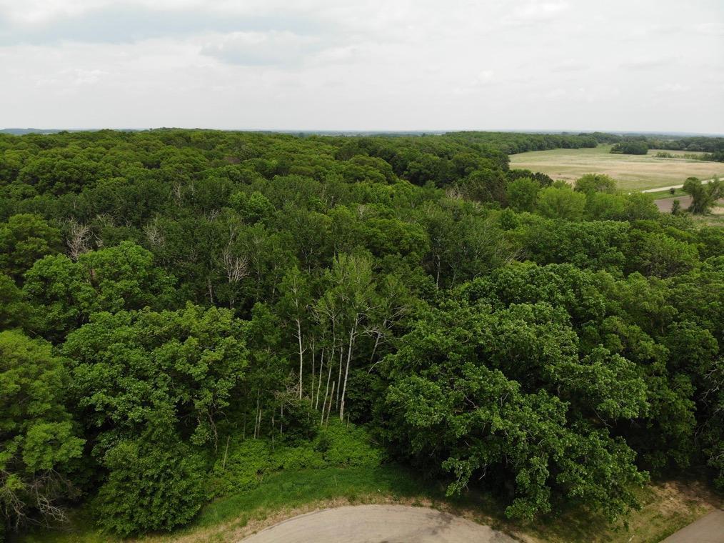 TBD Stony Hills Ln, Perham, Minnesota image 1
