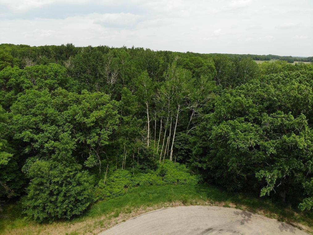 TBD Stony Hills Ln, Perham, Minnesota image 11