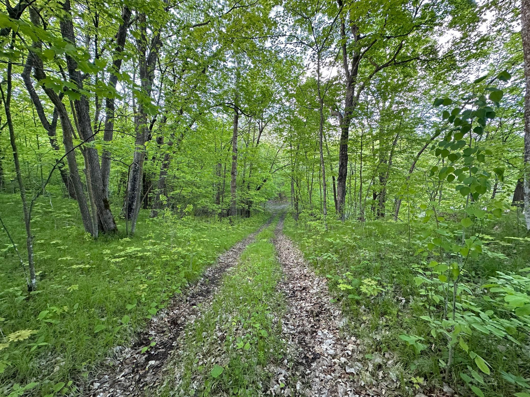 44698 Idas Road, Osage, Minnesota image 3