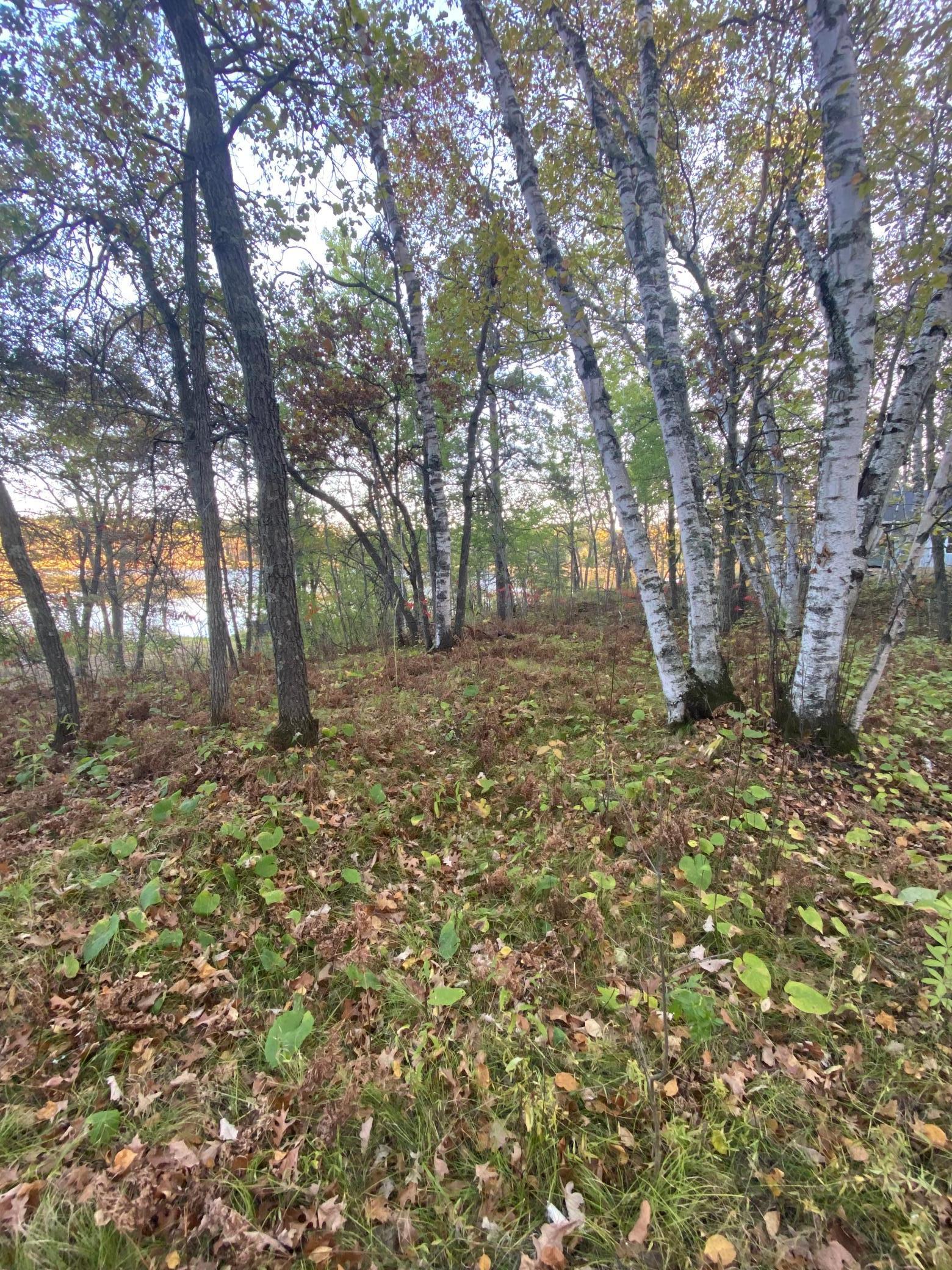 56460 198th Street, Park Rapids, Minnesota image 8