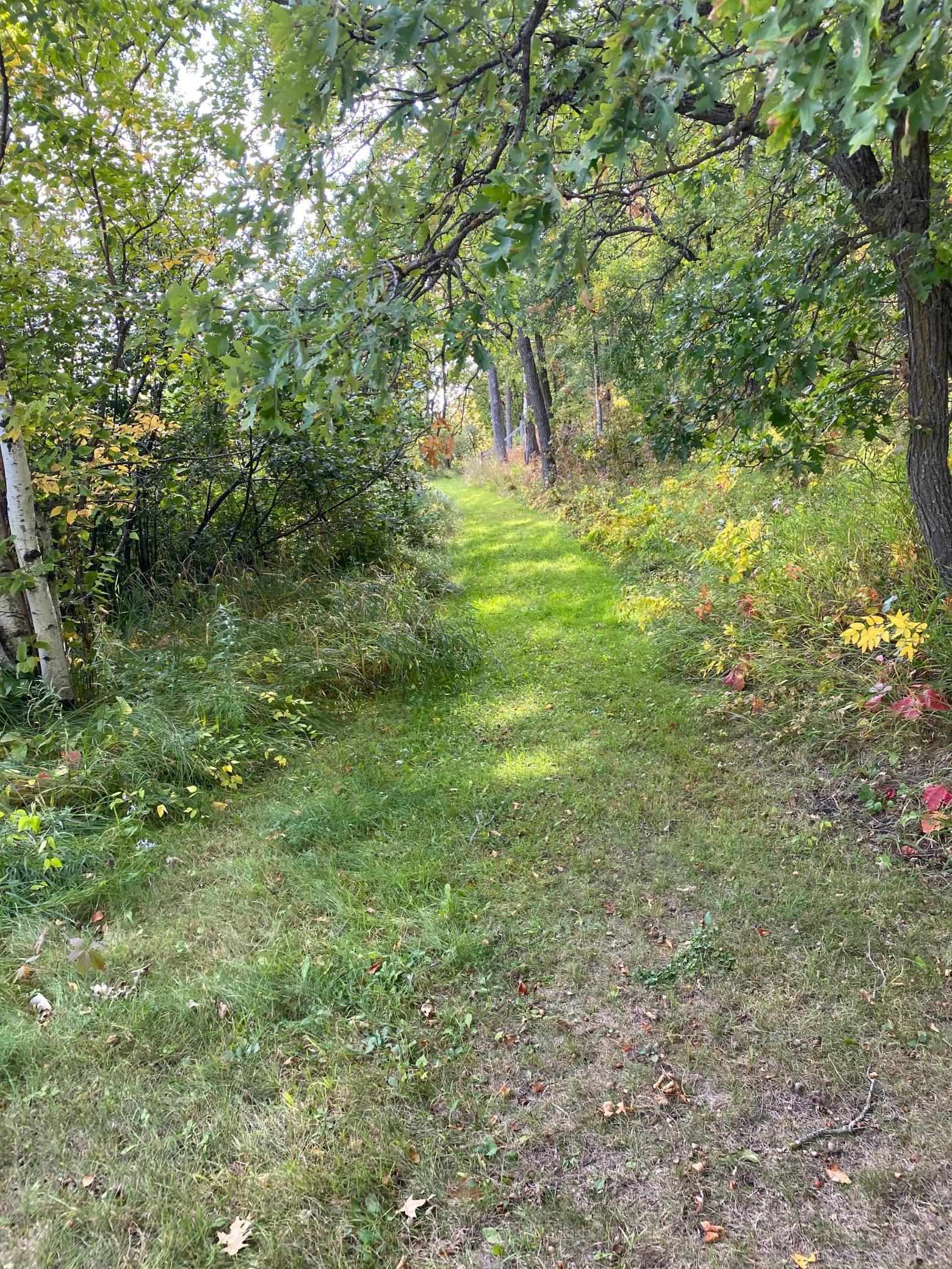 56460 198th Street, Park Rapids, Minnesota image 4