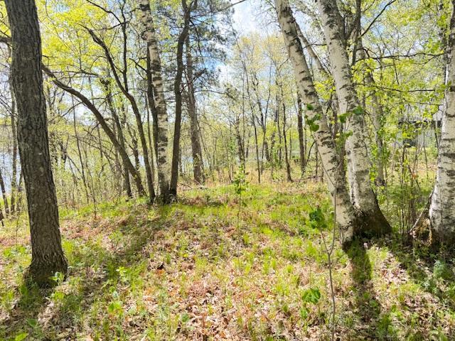 56460 198th Street, Park Rapids, Minnesota image 3