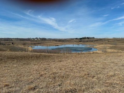 Vacant Land For Sale - 27181 Cr-10<br/> Pope County, Starbuck, MN 56381