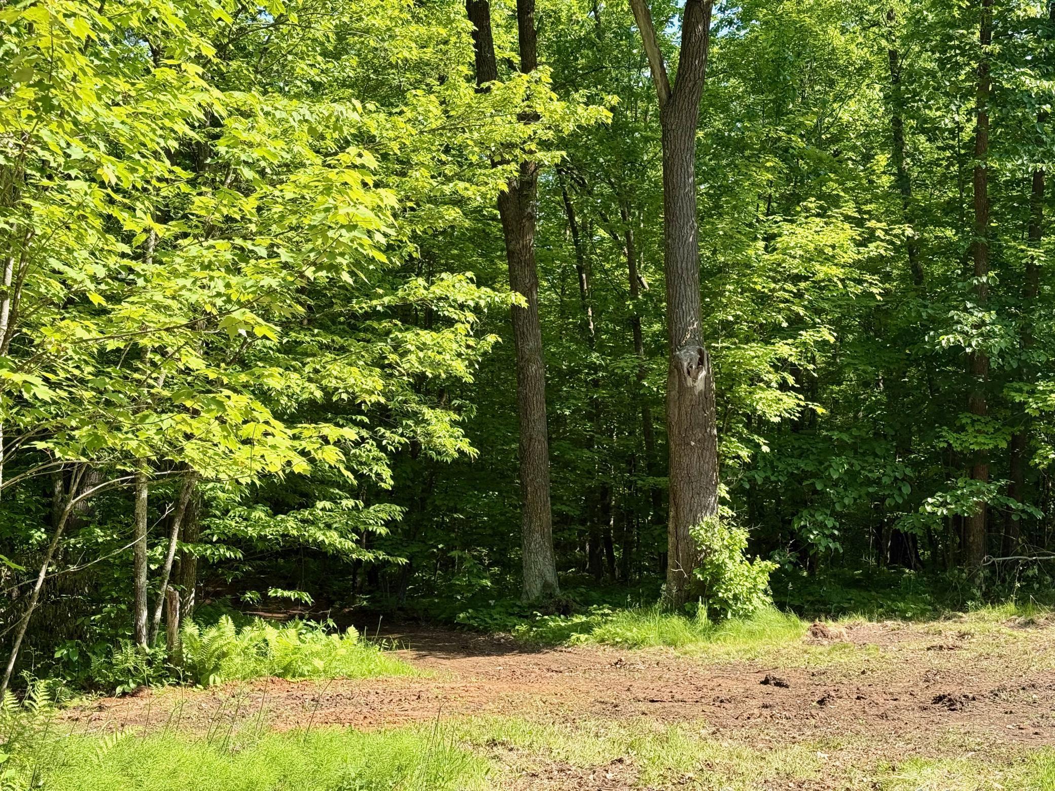74564 Cane Creek Road, Askov, Minnesota image 2