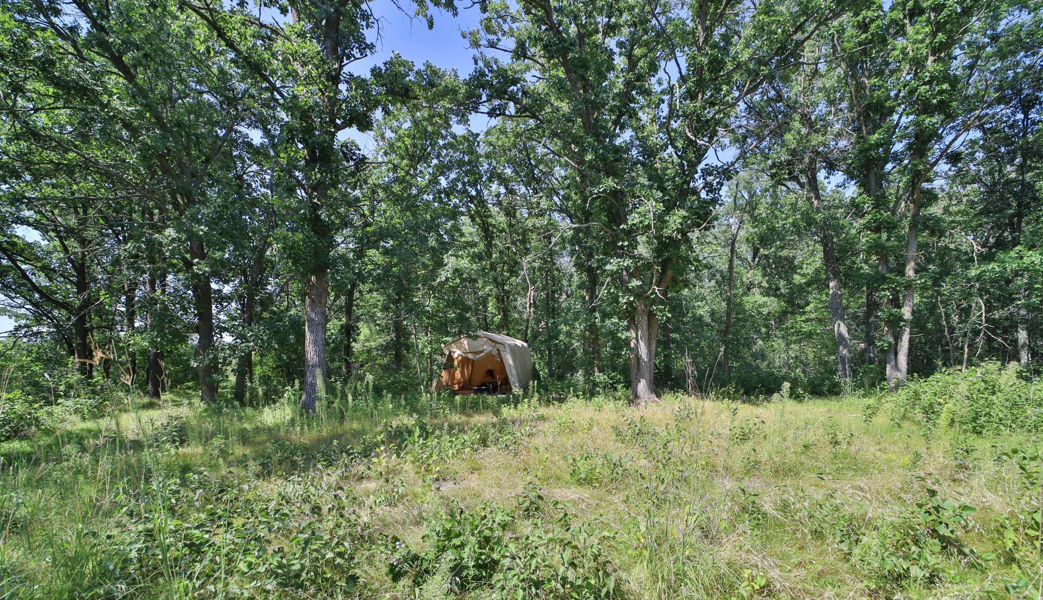 TBD Cr- 30, Staples, Minnesota image 6