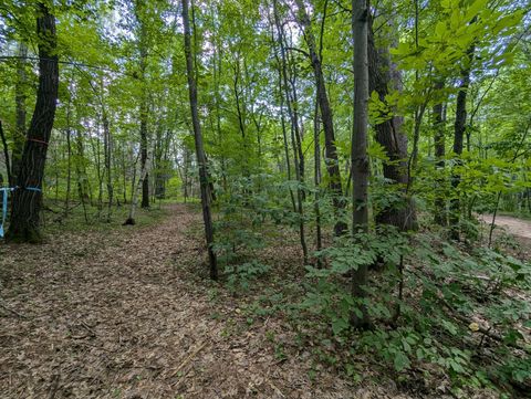 Vacant Land For Sale - LOT 4 Fosmo<br/> Webster, WI 54893
