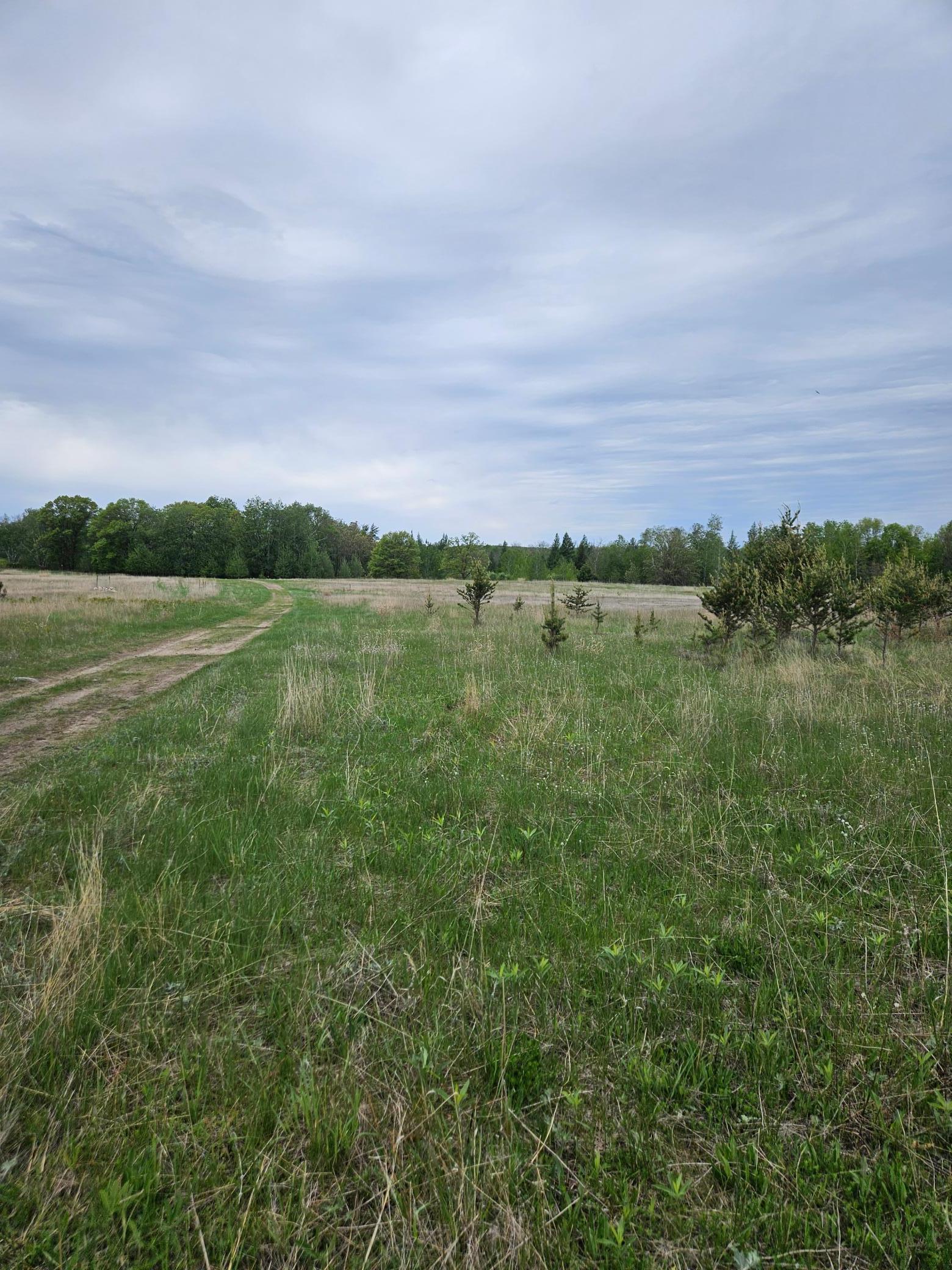 Tbd Pillager Creek Trail, Pillager, Minnesota image 1
