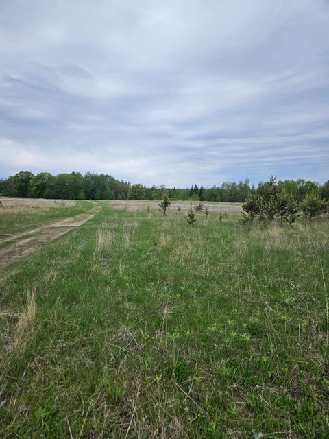 Vacant Land For Sale - TBD Pillager Creek Trail<br/> Pillager, MN 56473
