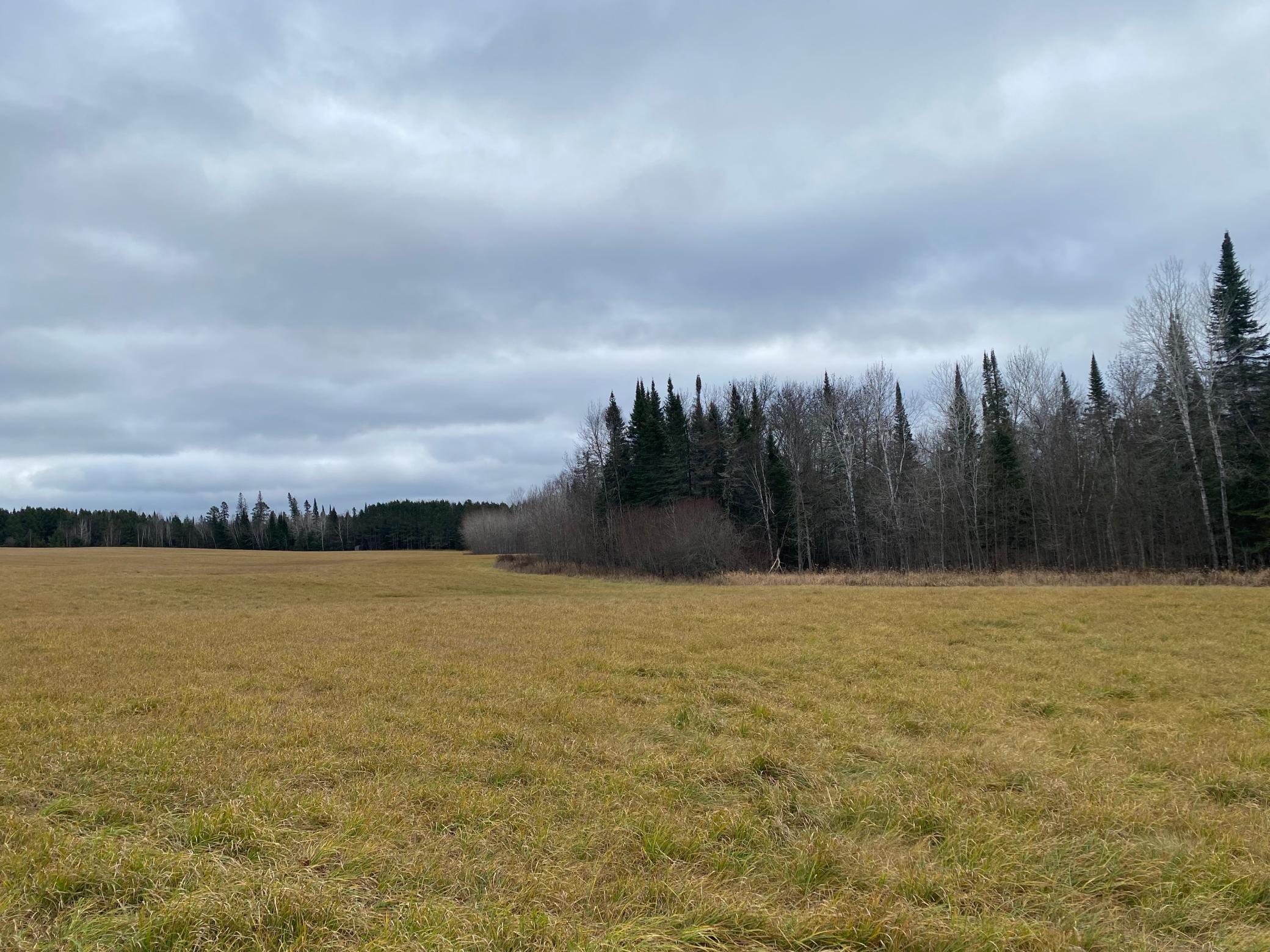 TBD County Rd. 156, Squaw Lake, Minnesota image 39