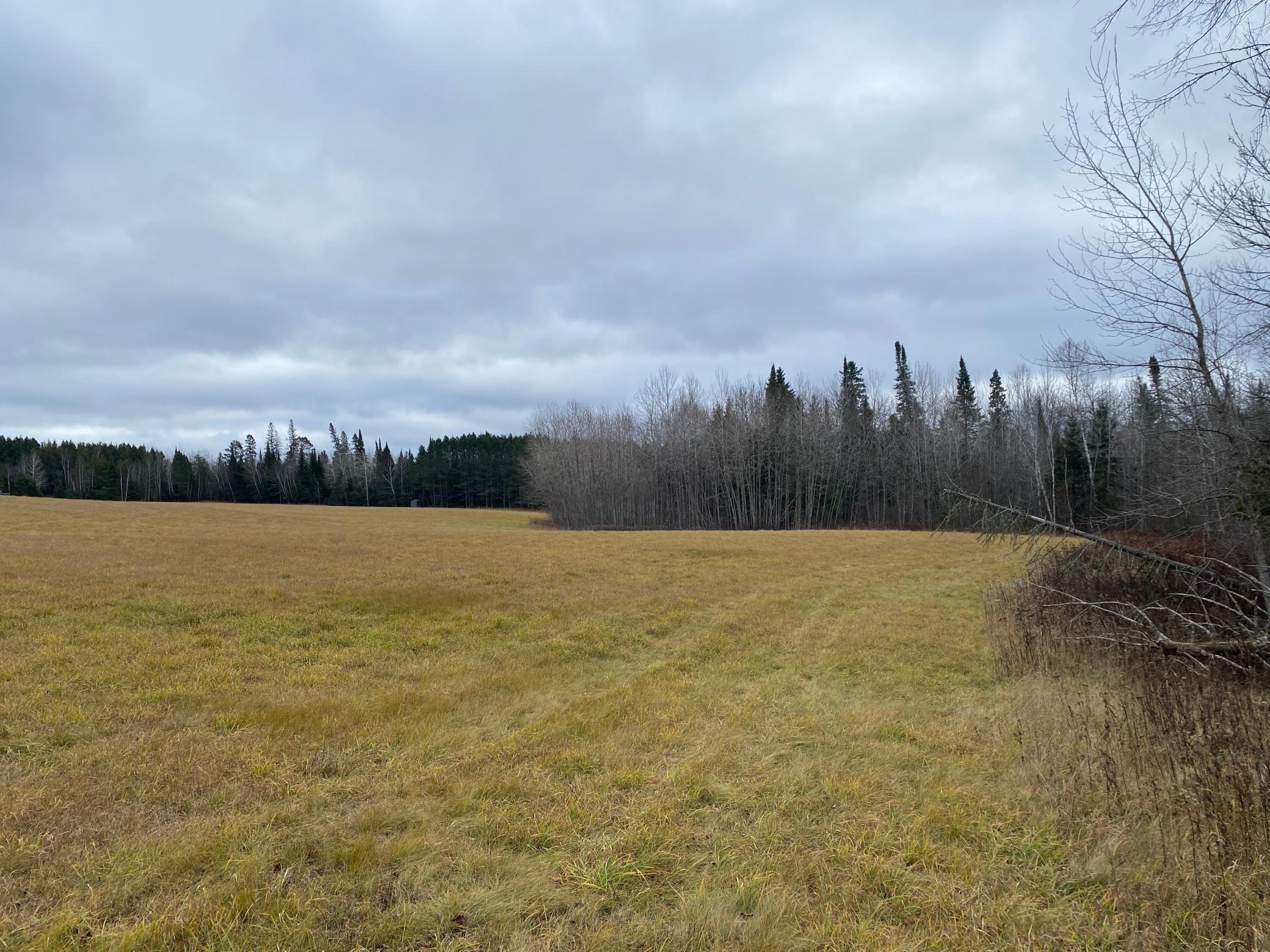 TBD County Rd. 156, Squaw Lake, Minnesota image 50