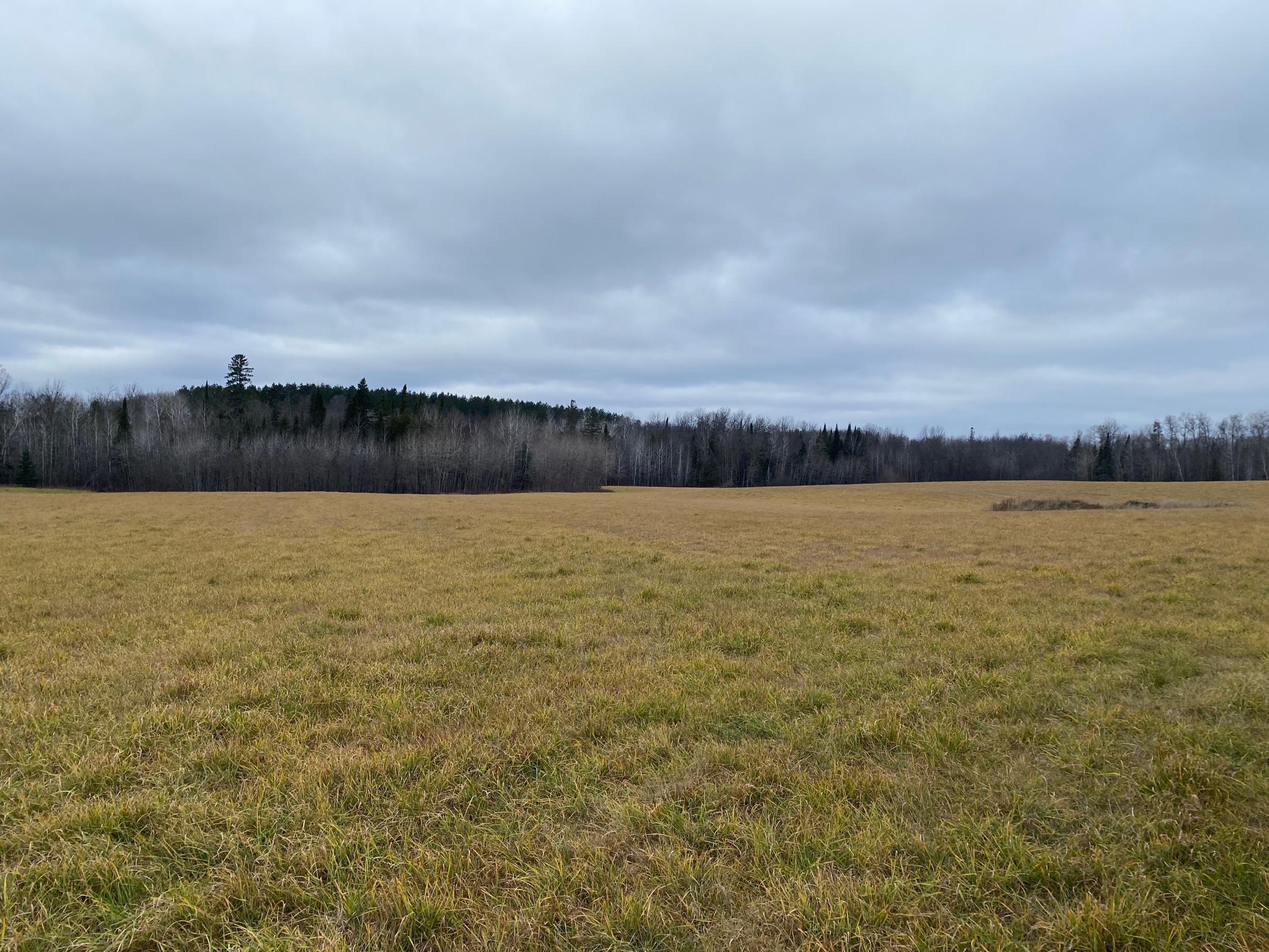 TBD County Rd. 156, Squaw Lake, Minnesota image 12