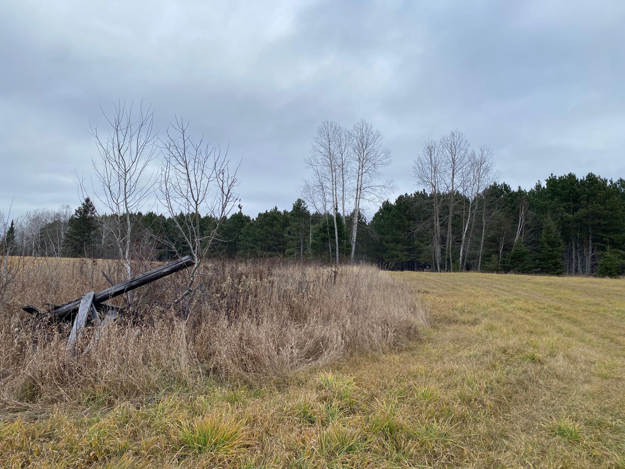 TBD County Rd. 156, Squaw Lake, Minnesota image 17