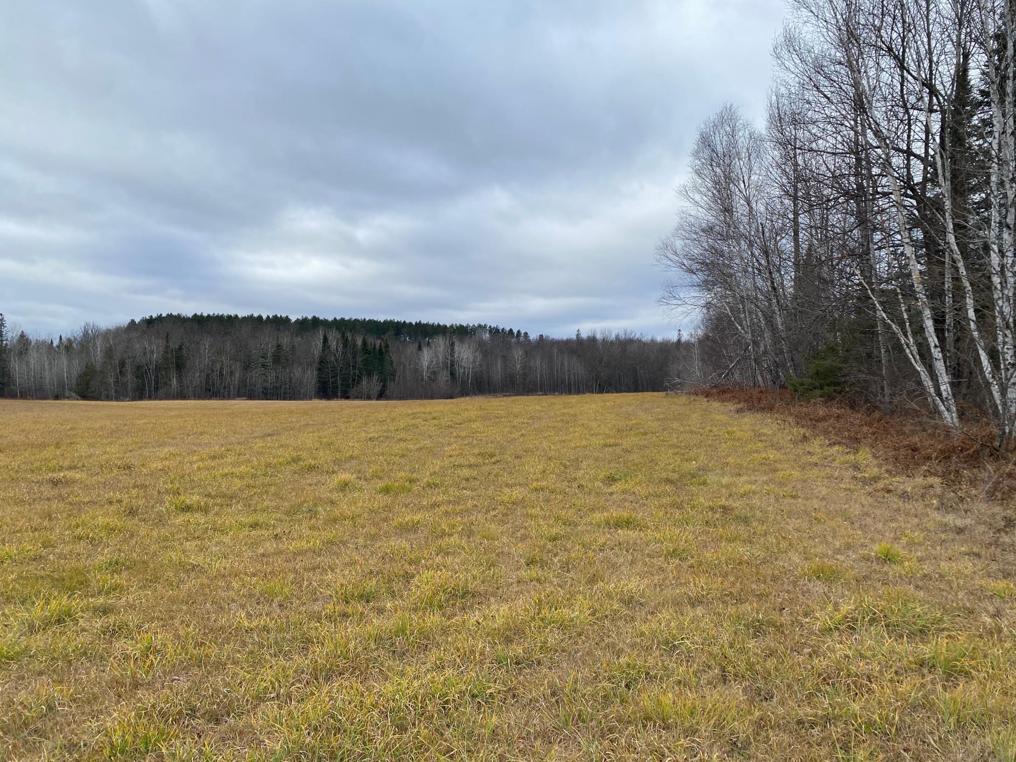 TBD County Rd. 156, Squaw Lake, Minnesota image 25