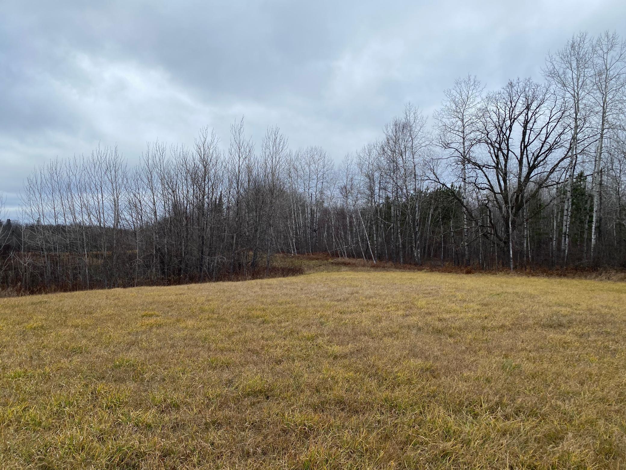 TBD County Rd. 156, Squaw Lake, Minnesota image 23