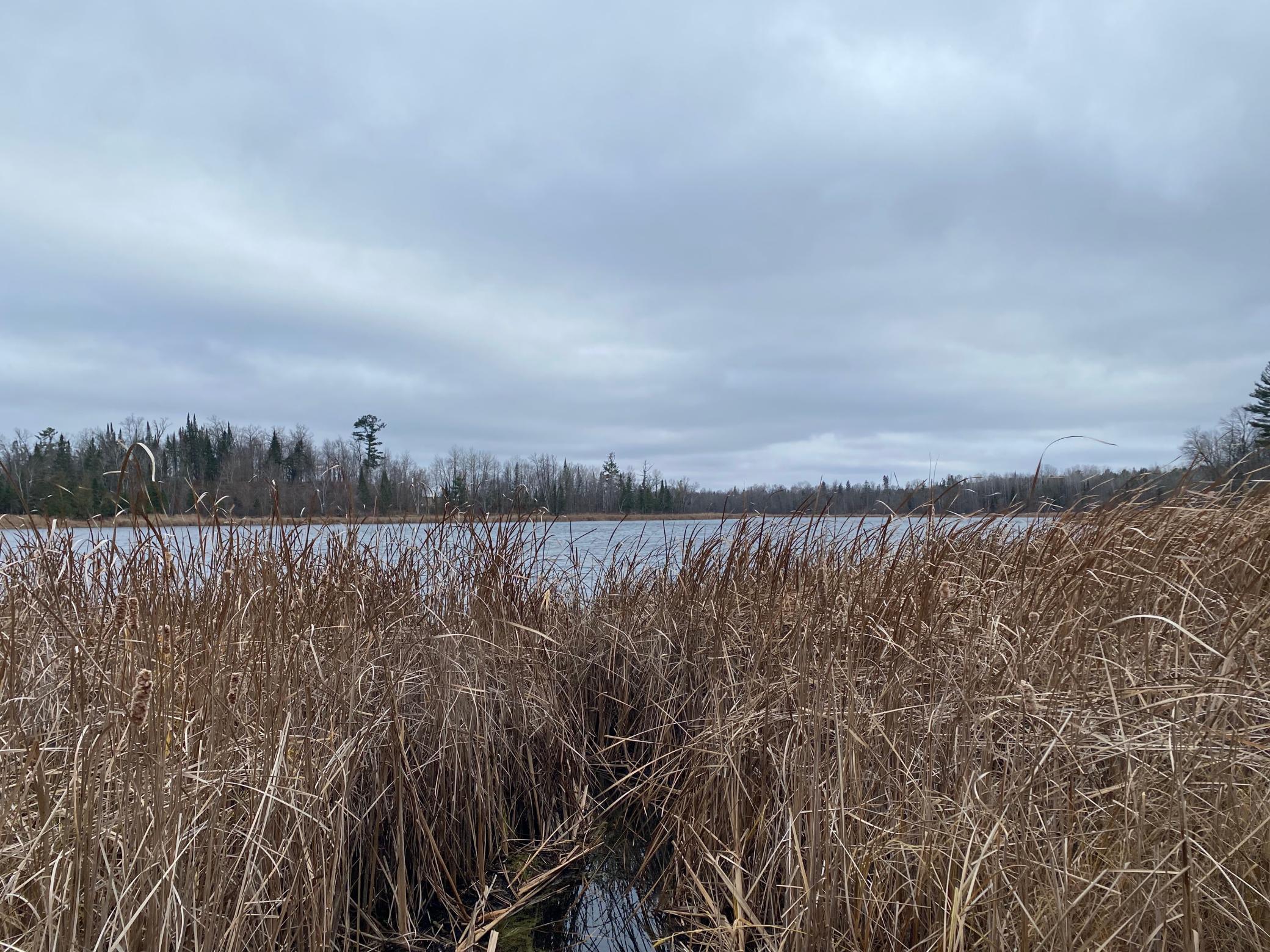 TBD County Rd. 156, Squaw Lake, Minnesota image 11