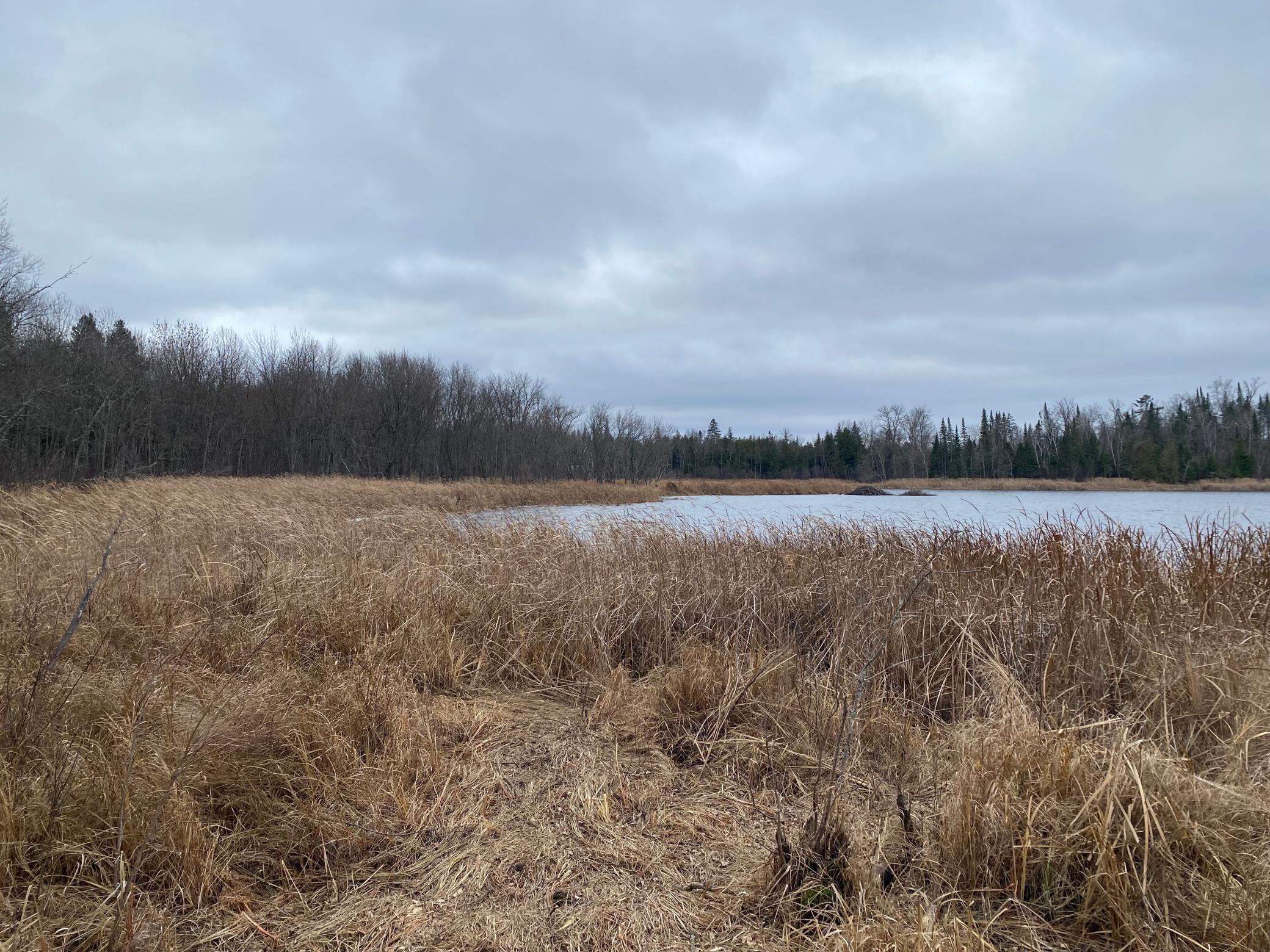 TBD County Rd. 156, Squaw Lake, Minnesota image 10