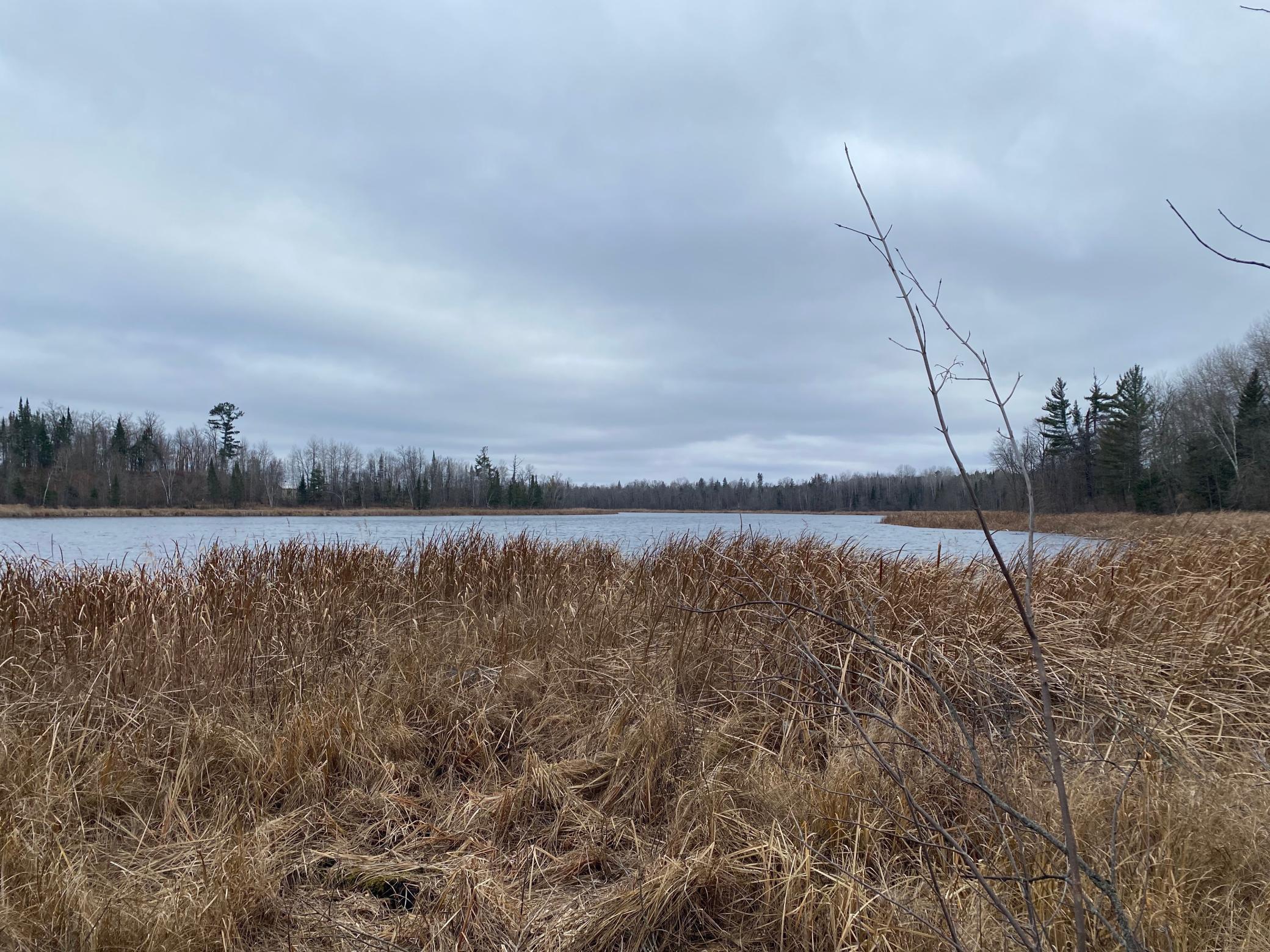 TBD County Rd. 156, Squaw Lake, Minnesota image 8