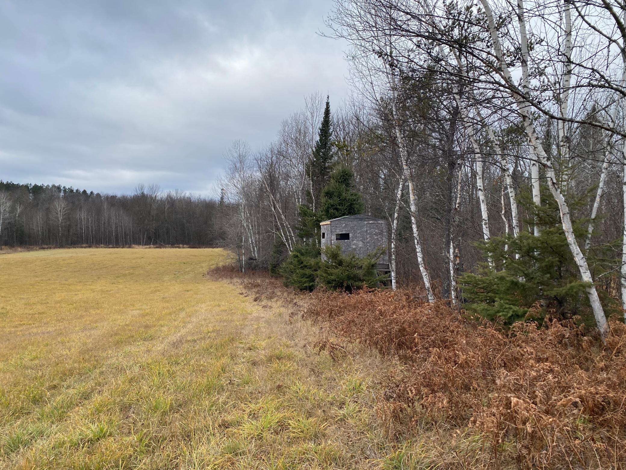 TBD County Rd. 156, Squaw Lake, Minnesota image 29