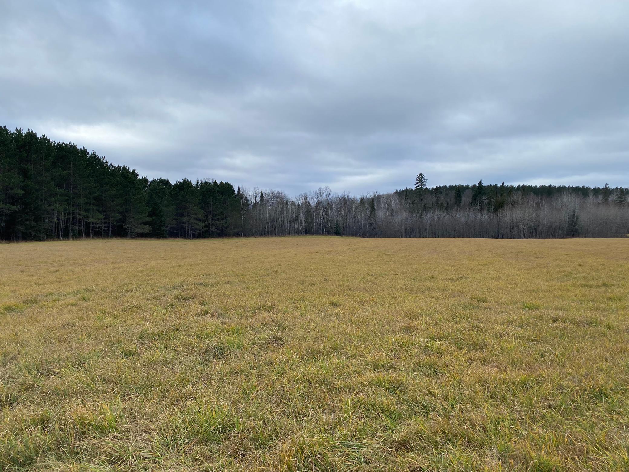 TBD County Rd. 156, Squaw Lake, Minnesota image 13