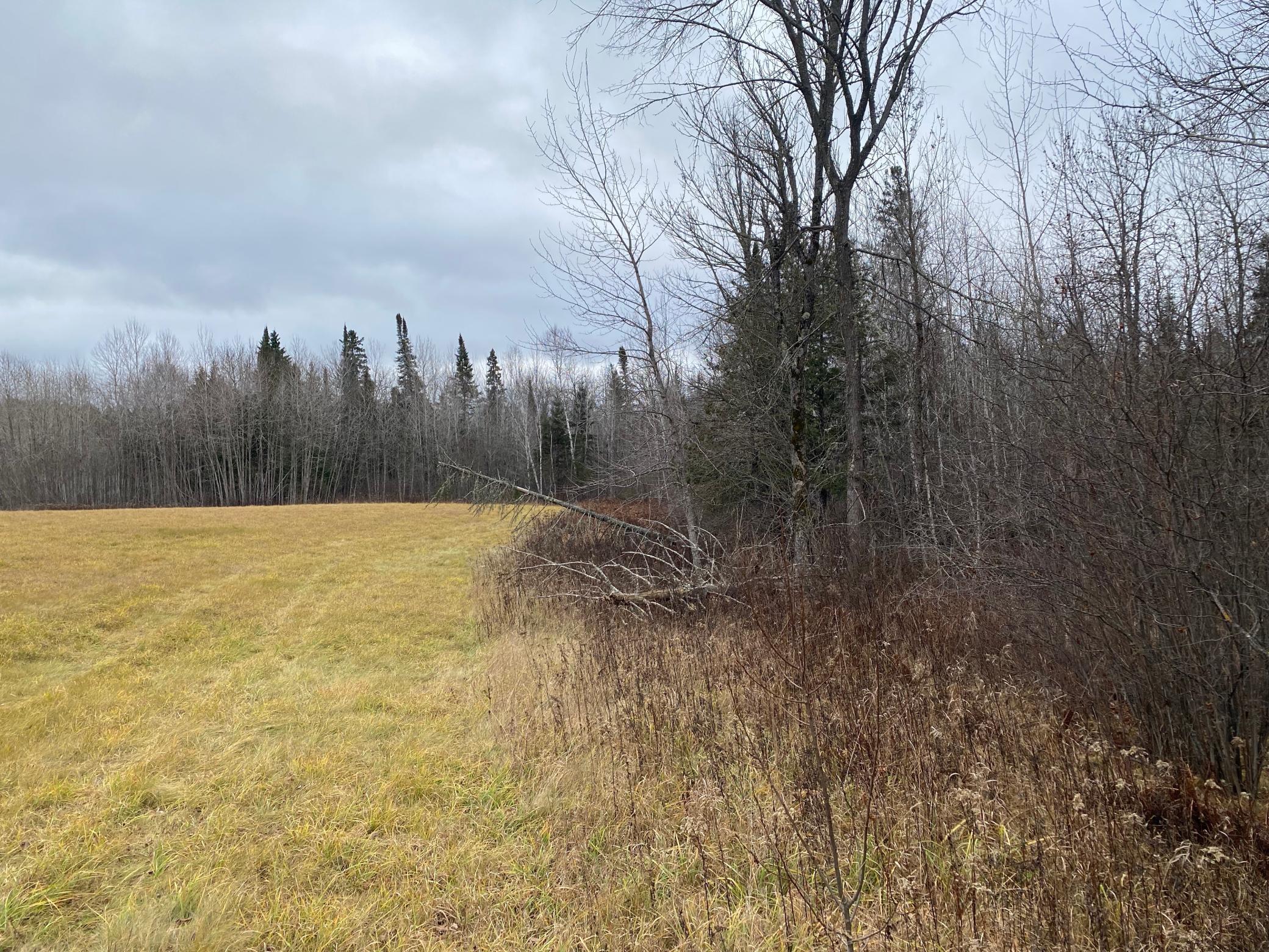 TBD County Rd. 156, Squaw Lake, Minnesota image 49