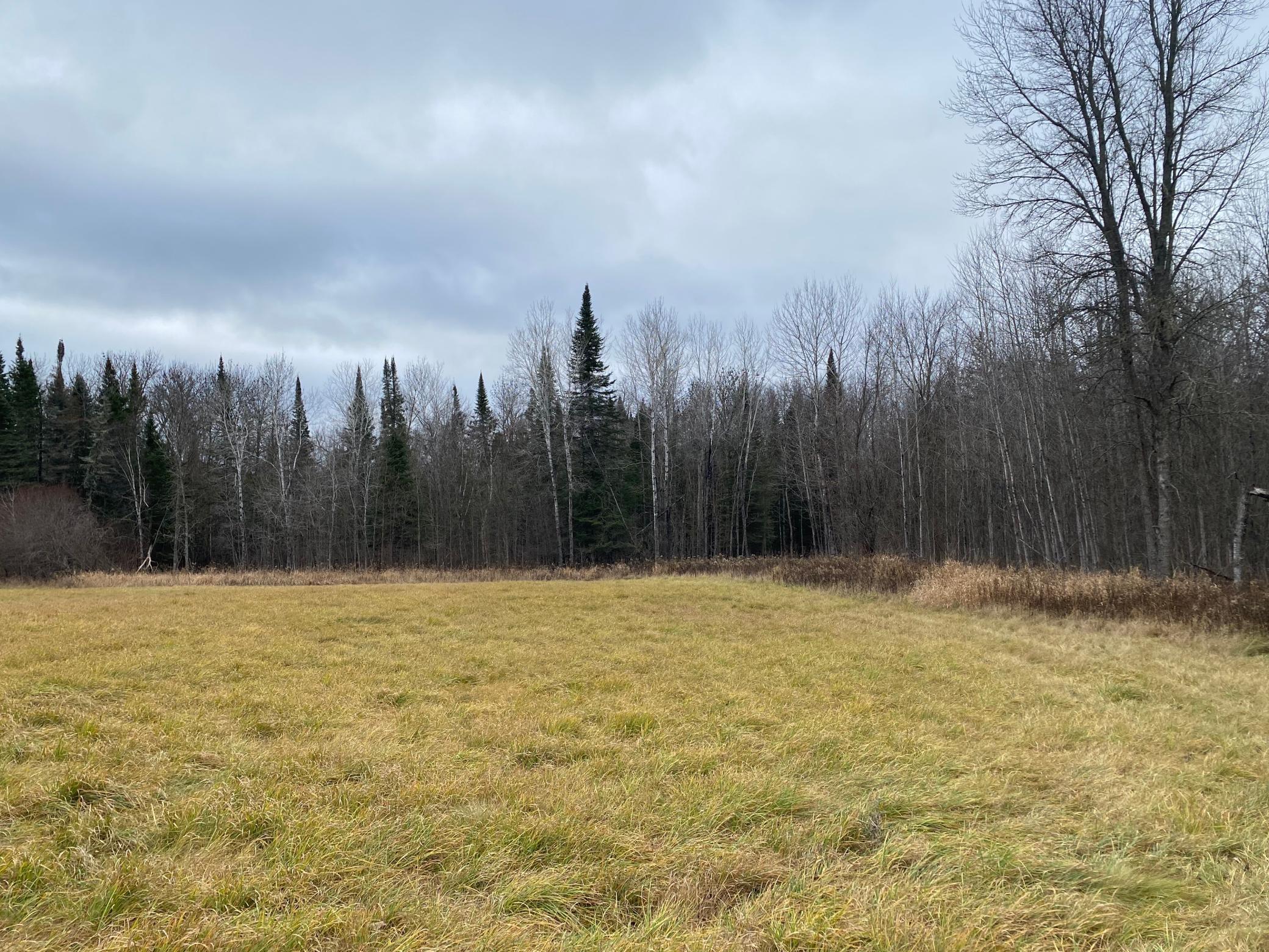 TBD County Rd. 156, Squaw Lake, Minnesota image 38