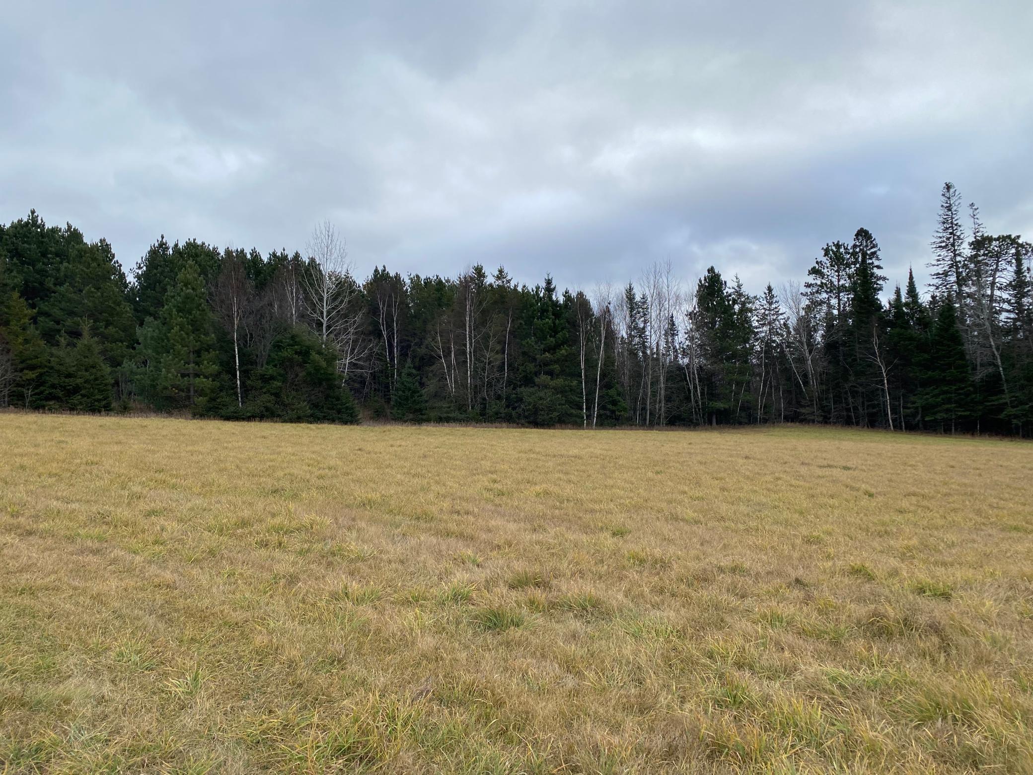 TBD County Rd. 156, Squaw Lake, Minnesota image 15