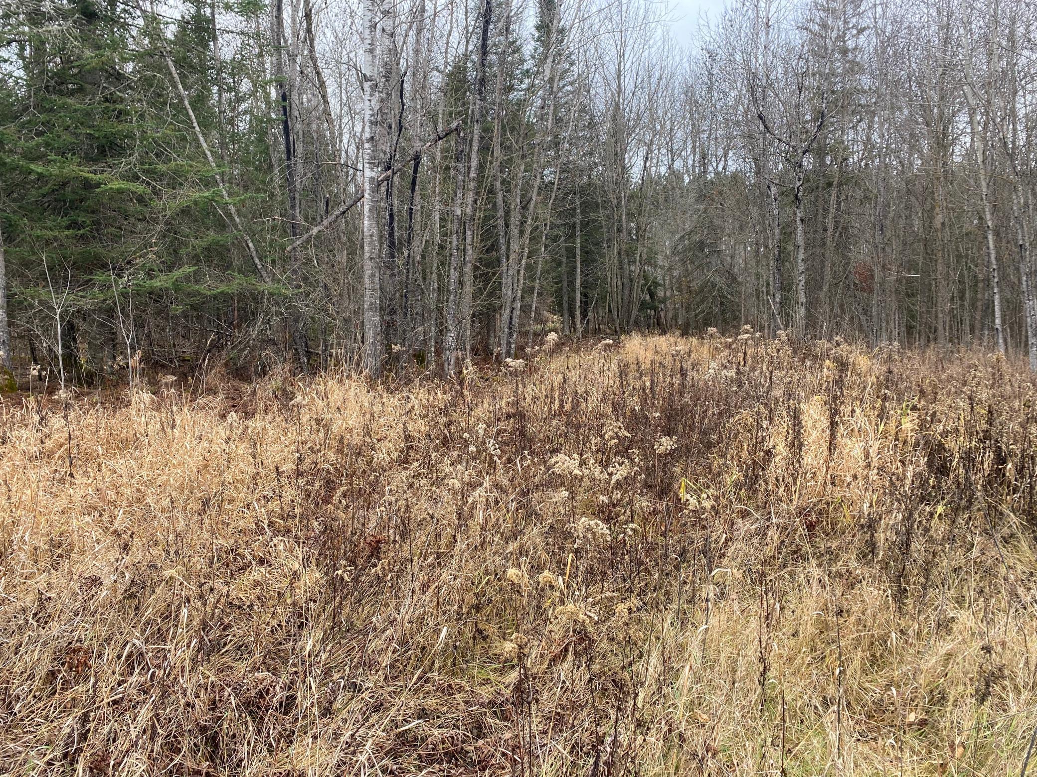 TBD County Rd. 156, Squaw Lake, Minnesota image 41