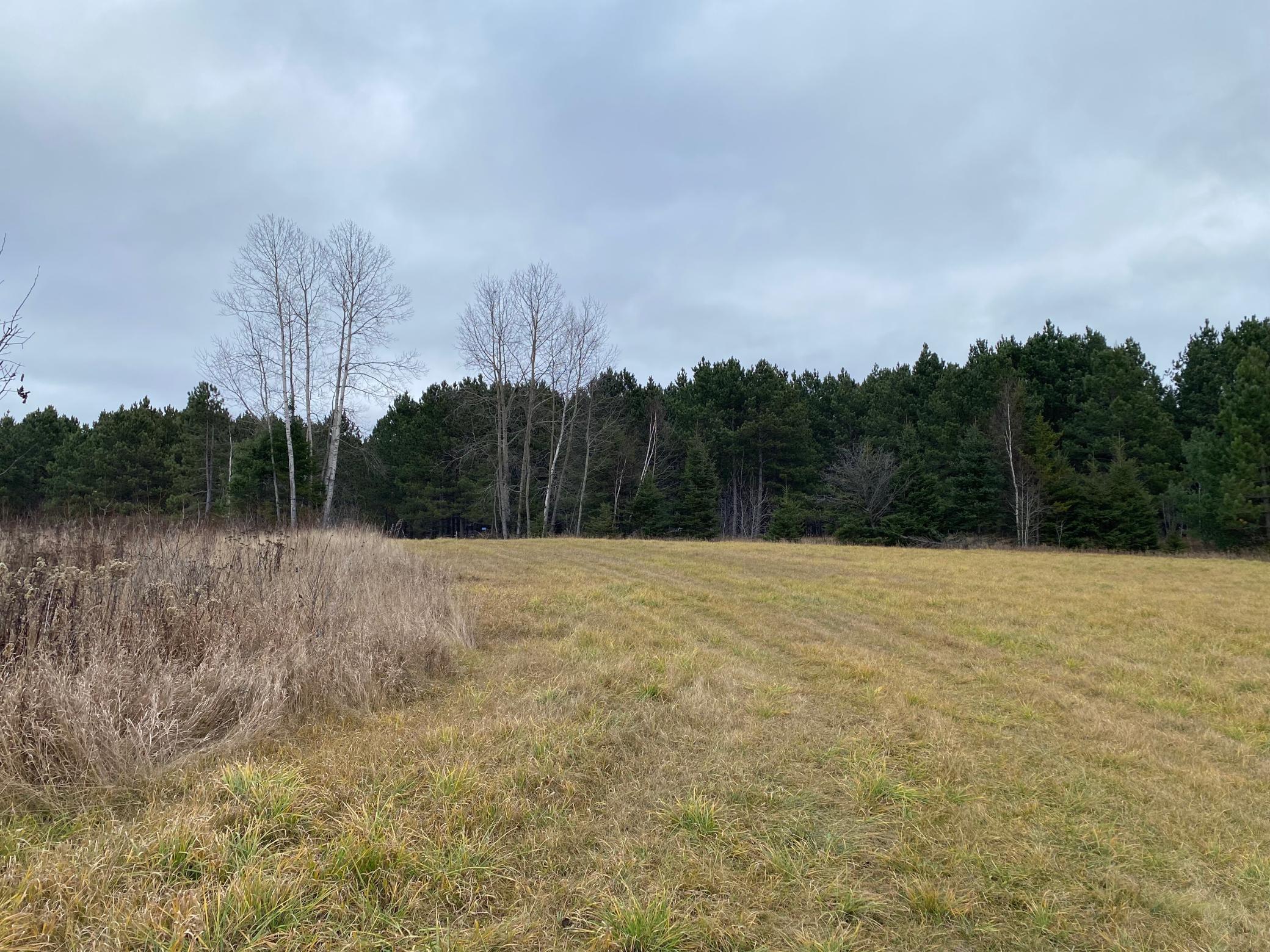 TBD County Rd. 156, Squaw Lake, Minnesota image 16