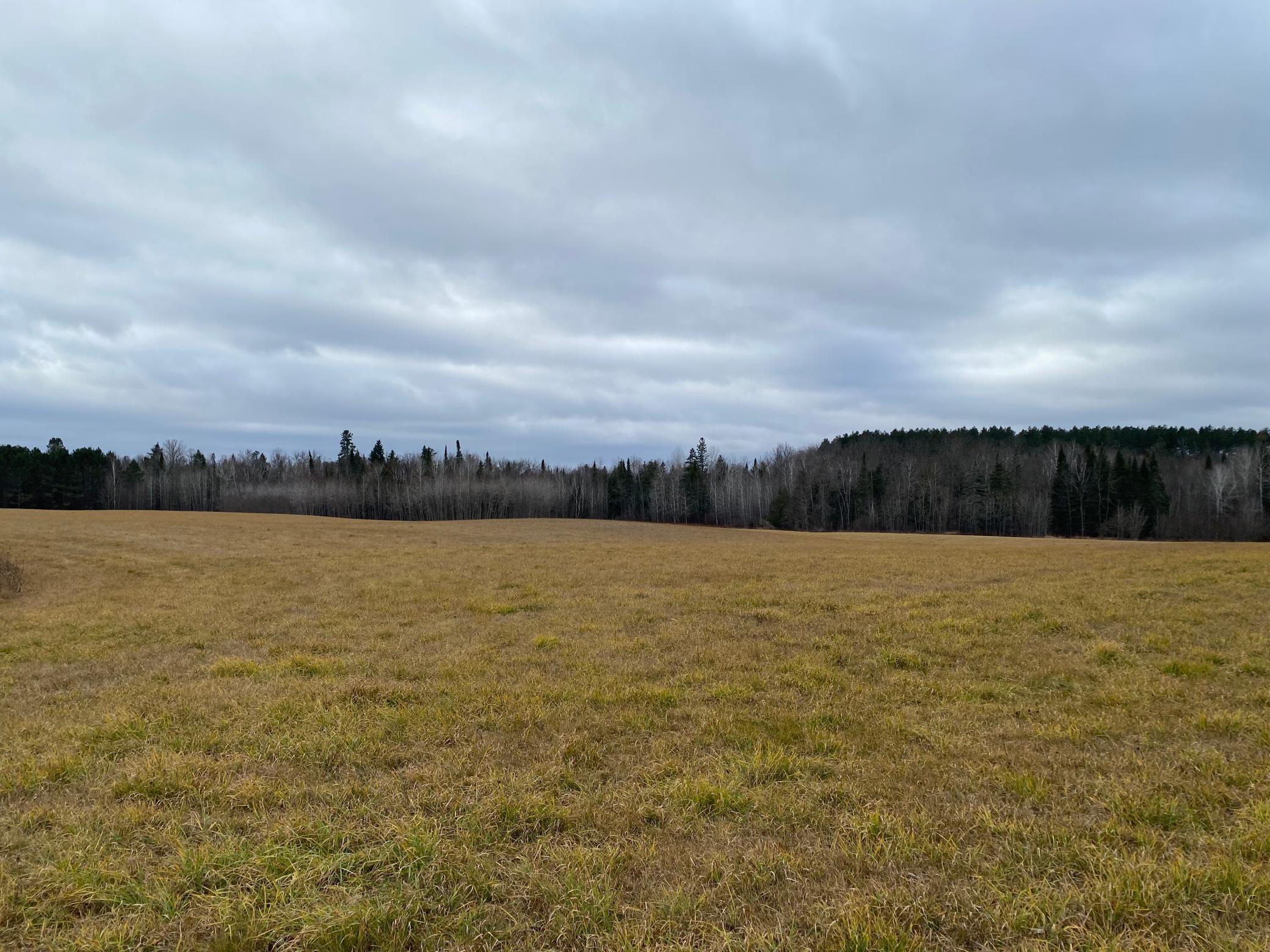 TBD County Rd. 156, Squaw Lake, Minnesota image 26