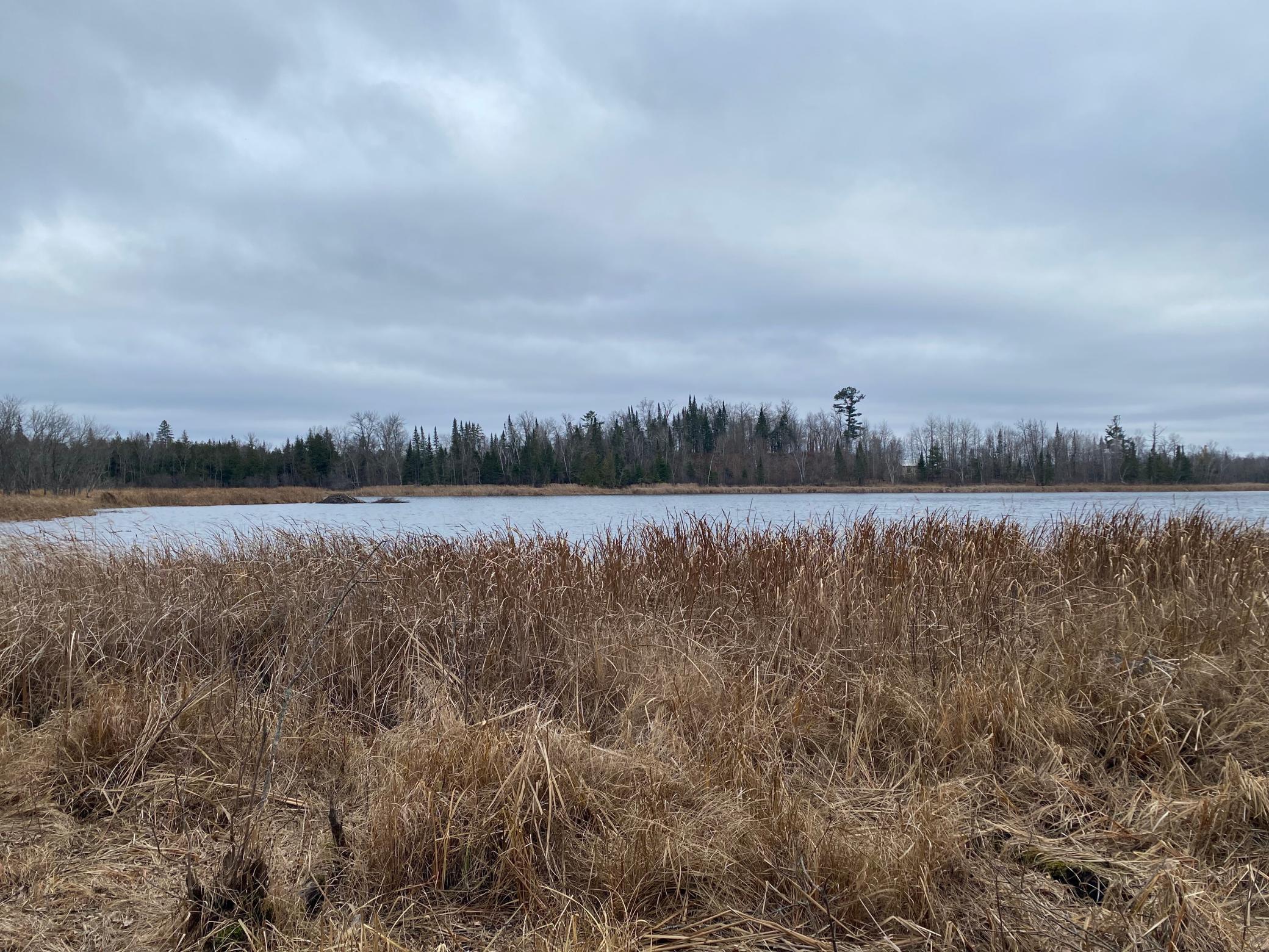 TBD County Rd. 156, Squaw Lake, Minnesota image 9