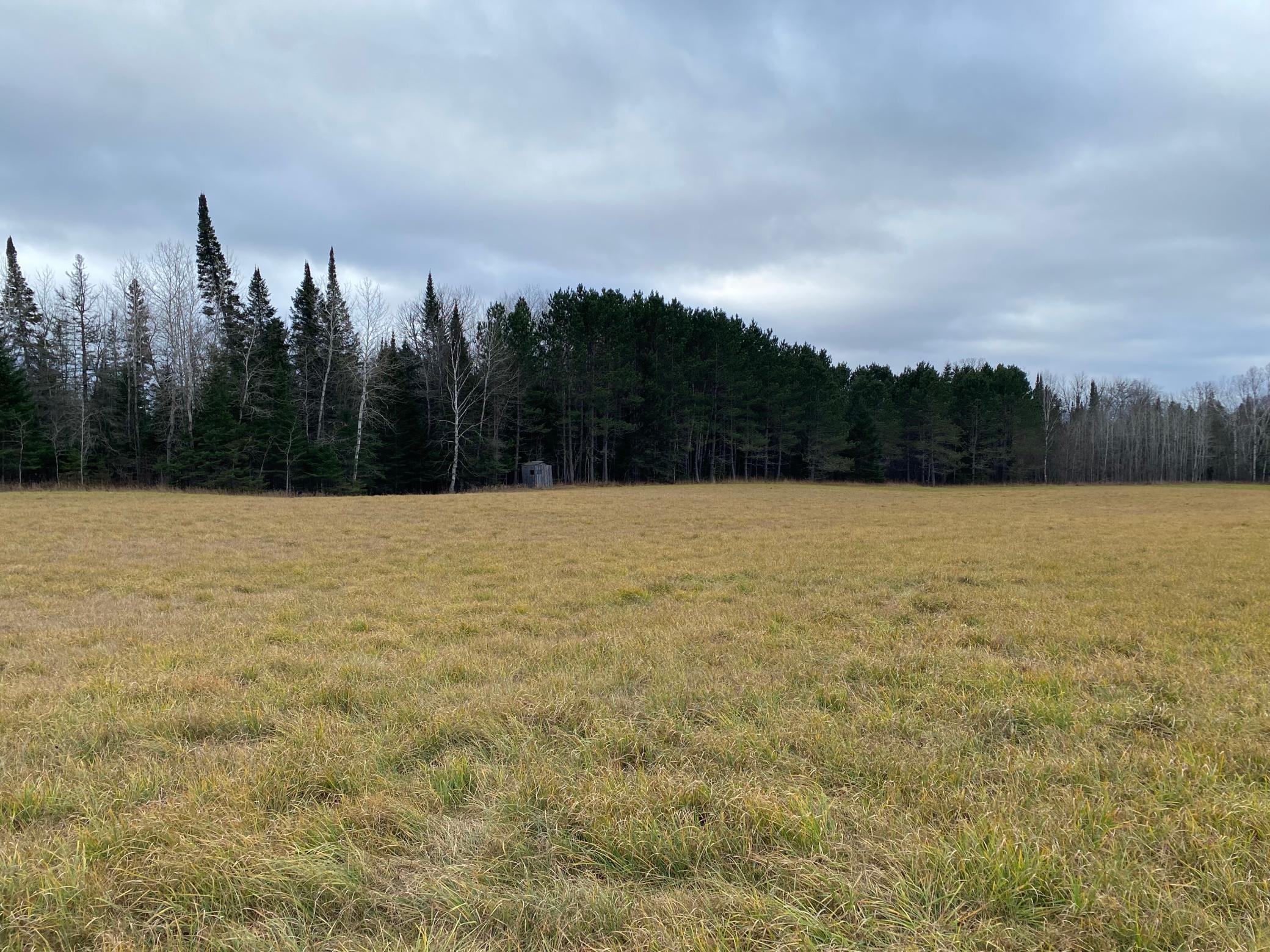 TBD County Rd. 156, Squaw Lake, Minnesota image 14