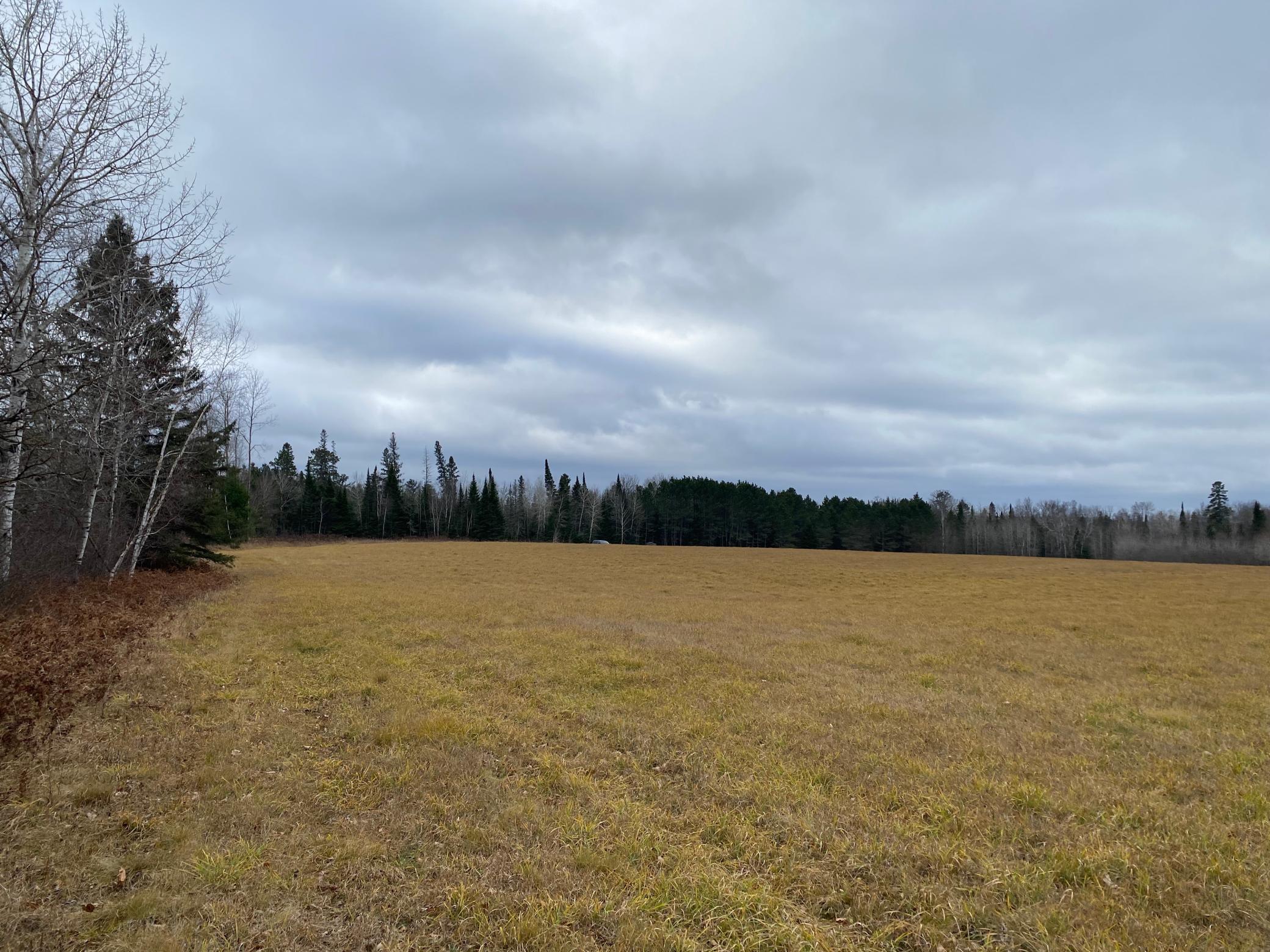 TBD County Rd. 156, Squaw Lake, Minnesota image 21