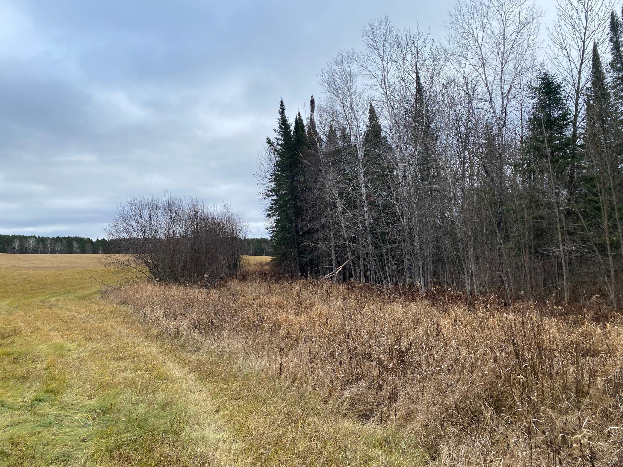 TBD County Rd. 156, Squaw Lake, Minnesota image 43