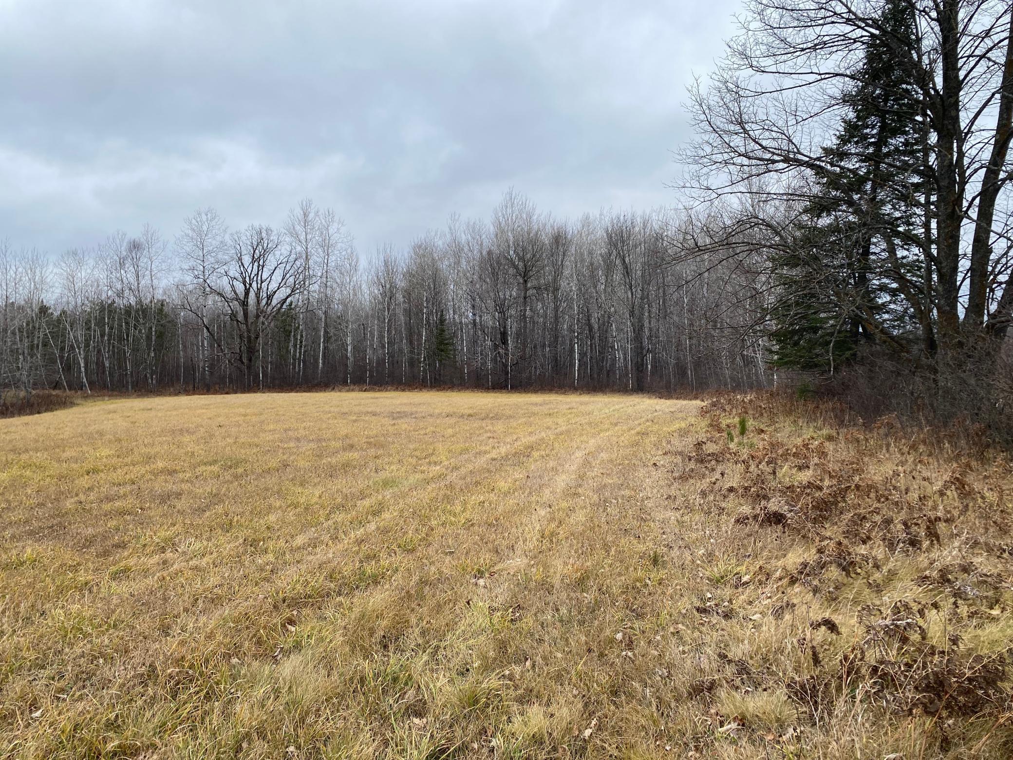 TBD County Rd. 156, Squaw Lake, Minnesota image 18