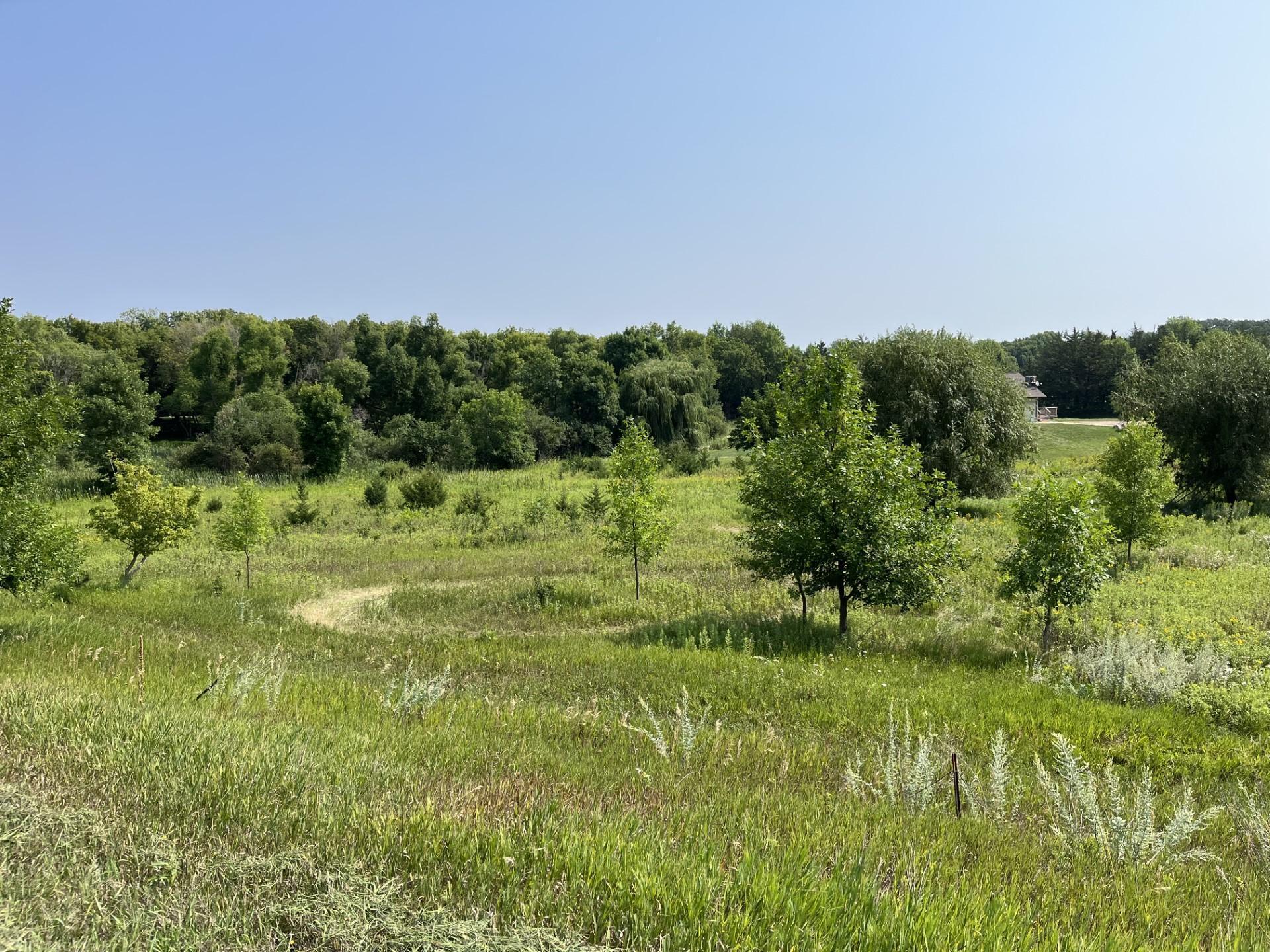 Lot 1 Blk NE 51 Street, Spicer, Minnesota image 3
