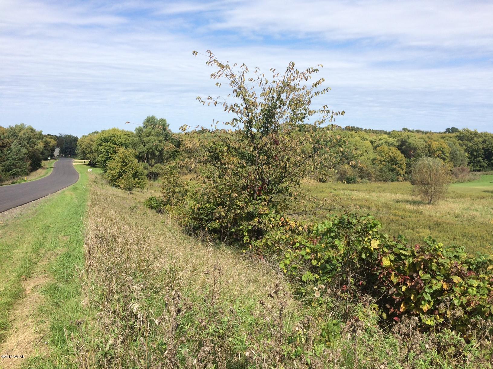 Lot 1 Blk NE 51 Street, Spicer, Minnesota image 9