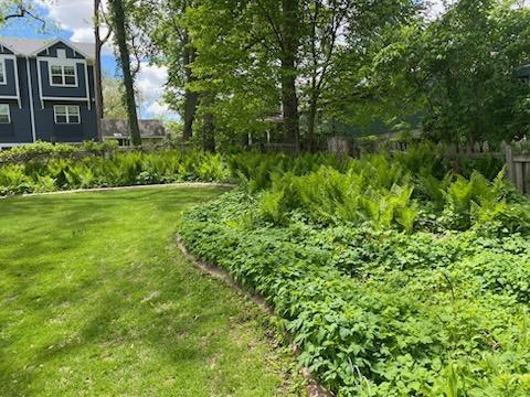 503 14th Avenue, Rochester, Minnesota image 41