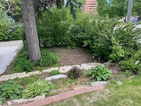 503 14th Avenue, Rochester, Minnesota image 43
