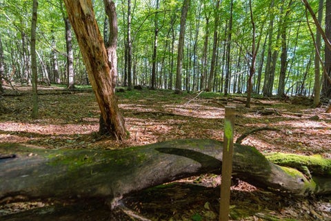 Vacant Land For Sale - LOT7 815th Avenue<br/> Dunn County, Menomonie, WI 54751