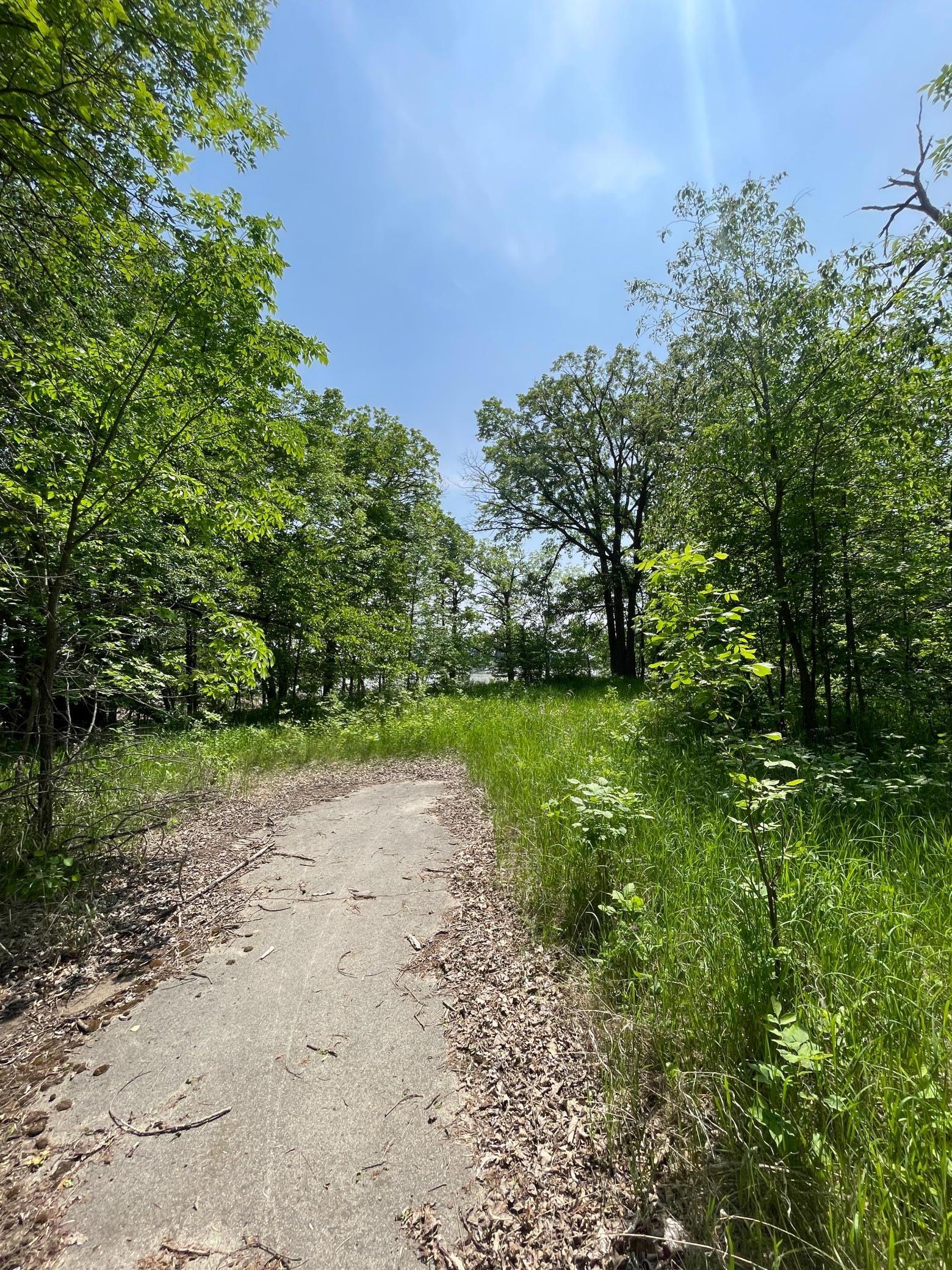 21xxx W Toad Lake Drive, Osage, Minnesota image 8