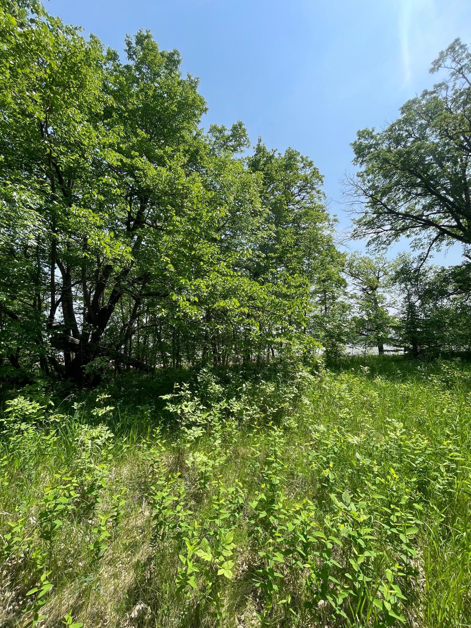 21xxx W Toad Lake Drive, Osage, Minnesota image 10