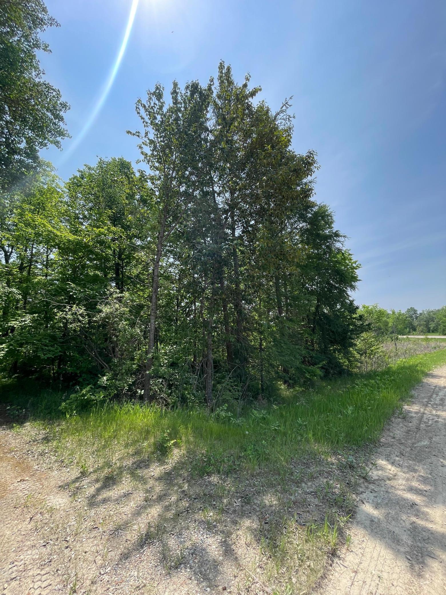 21xxx W Toad Lake Drive, Osage, Minnesota image 16