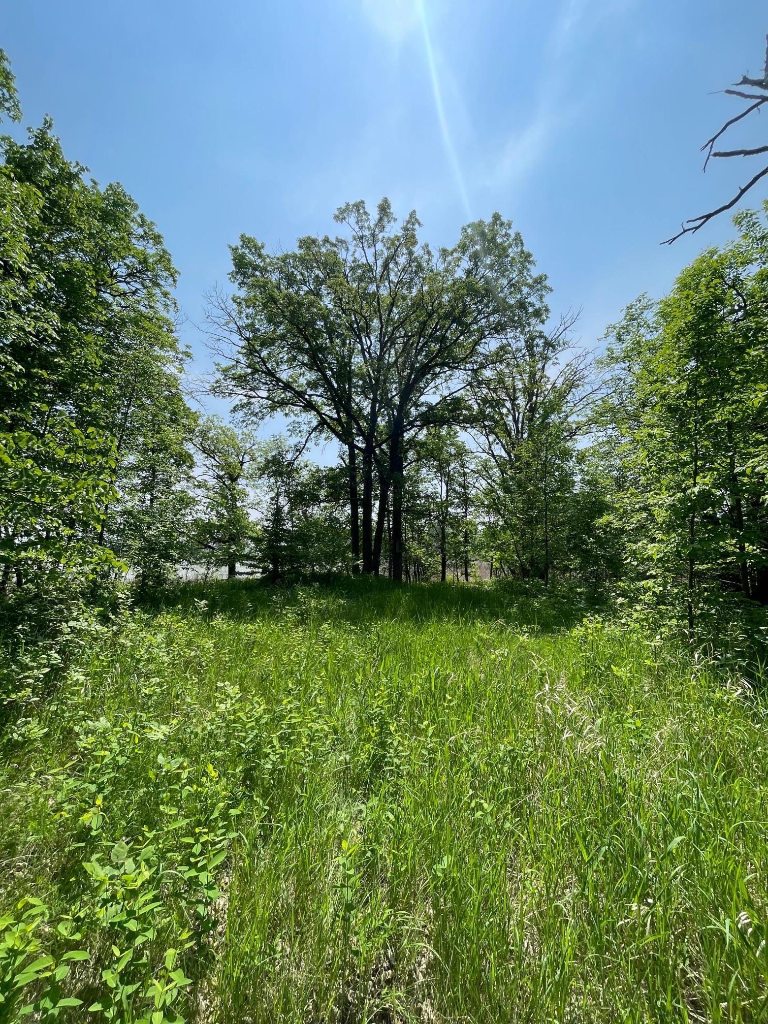 21xxx W Toad Lake Drive, Osage, Minnesota image 13