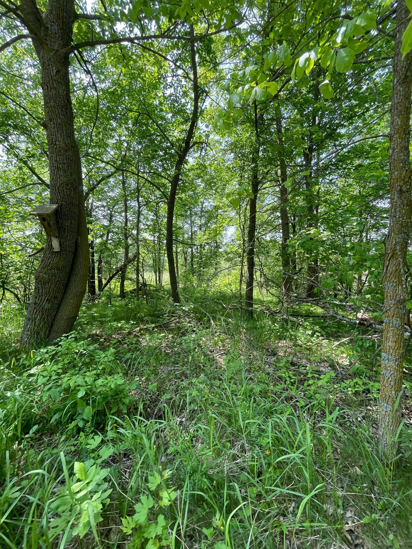 21xxx W Toad Lake Drive, Osage, Minnesota image 15