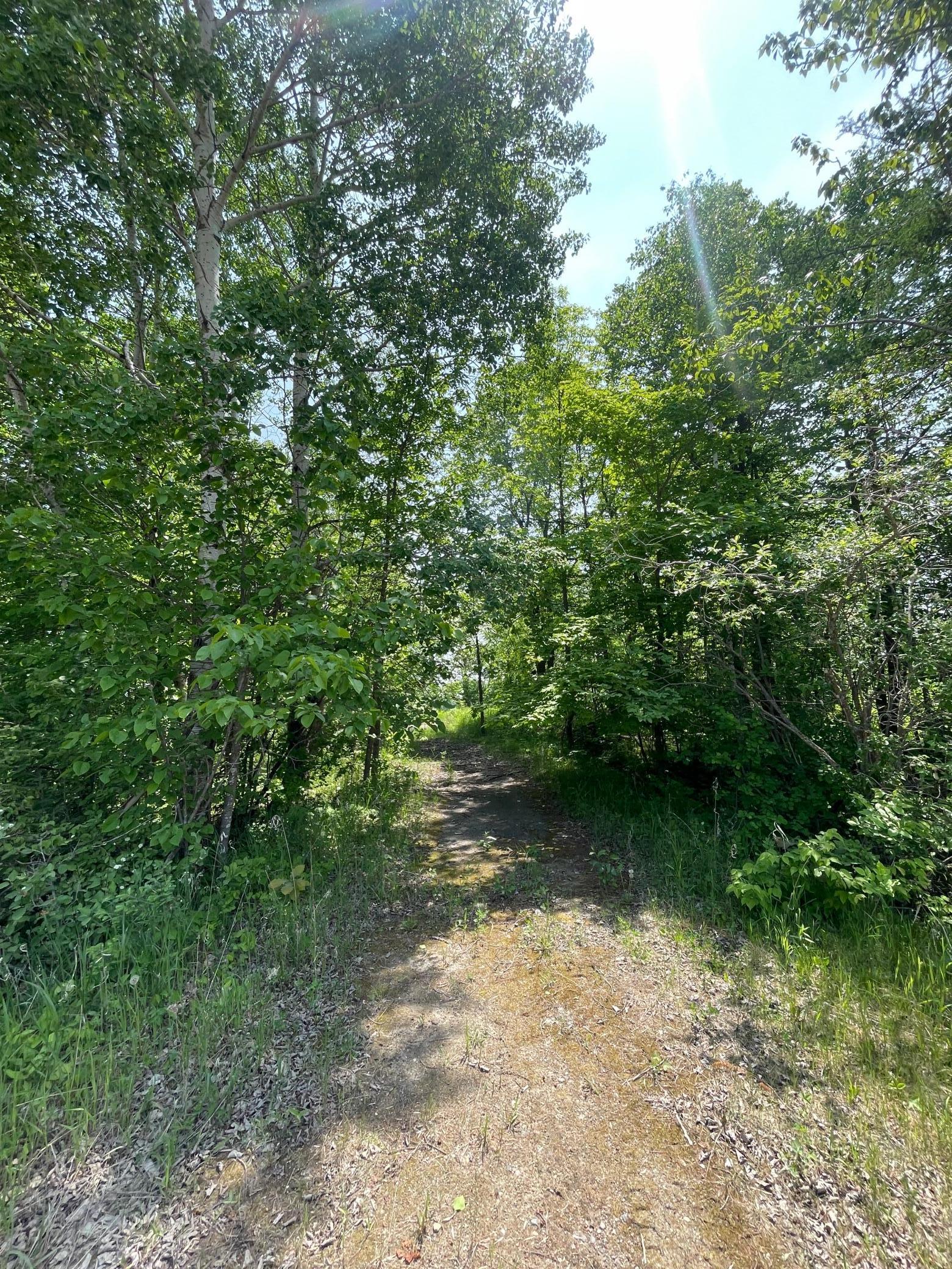 21xxx W Toad Lake Drive, Osage, Minnesota image 6