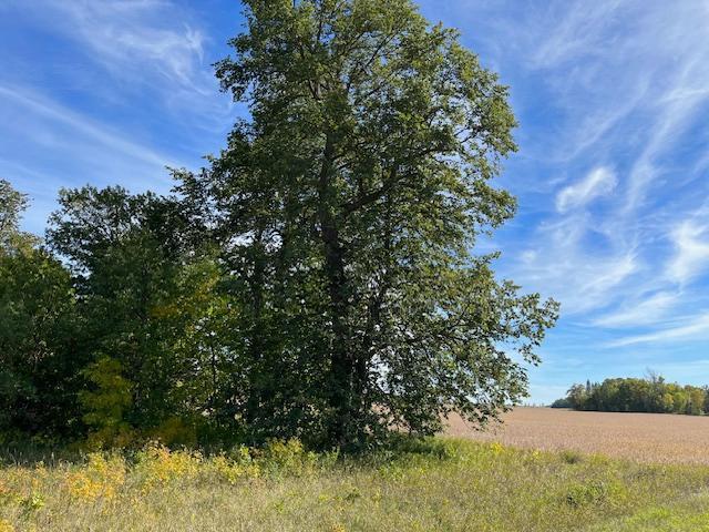 Xxxx Woodsmen Lane, Alexandria, Minnesota image 8