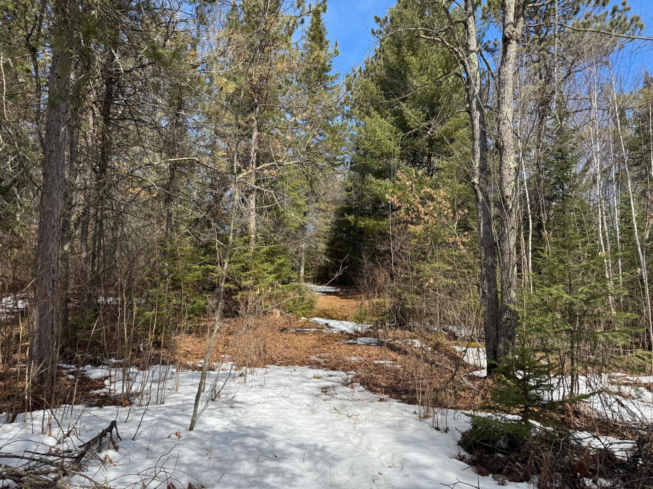 TBD County Road 4, Talmoon, Minnesota image 4