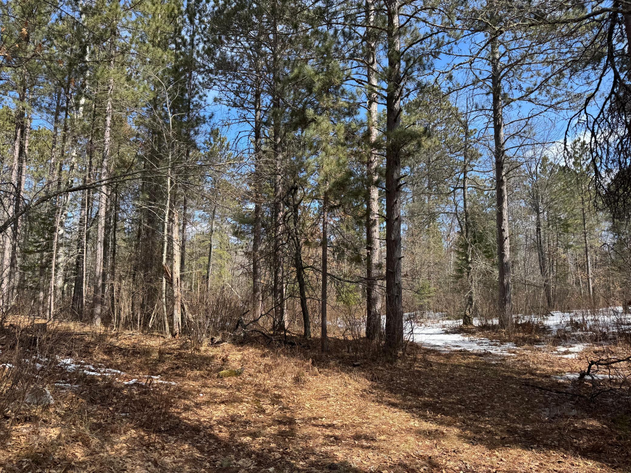 TBD County Road 4, Talmoon, Minnesota image 5